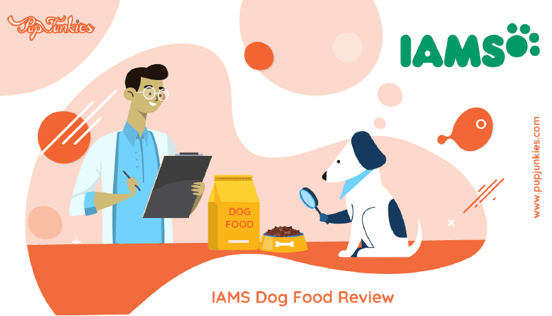 Iams Dog Food Review