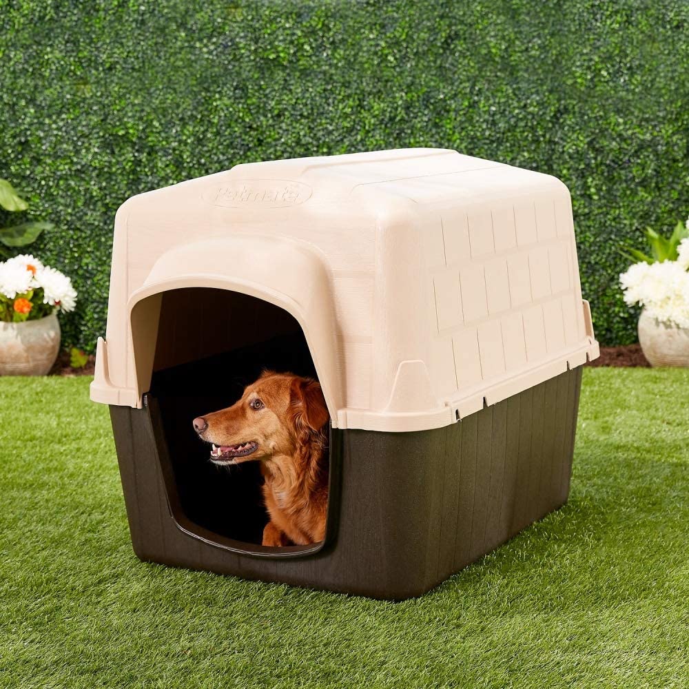 Best Igloo Dog Houses