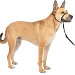 PetSafe Gentle Leader Padded No Pull Dog Headcollar