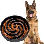 JASGOOD Slow Feeder Dogs Bowl for Large Dogs,Anti-Gulping Pet Slower Food Feeding Bowls