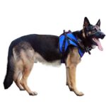 Front Lift Combo Dog Harness