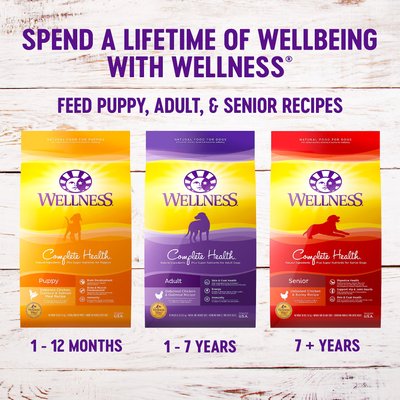 Wellness Large Breed Complete Health Puppy Deboned Chicken, Brown Rice & Salmon Meal Recipe Dry Dog Food
