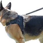My Pets America Dog Harness For All Breeds