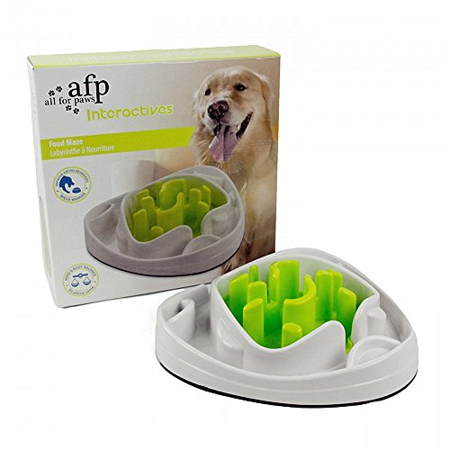 AFP Interactive Food Maze Dog Toy