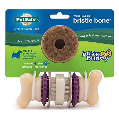 PetSafe Busy Buddy Bristle Bone
