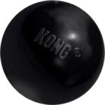 KONG Extreme Ball Dog Toy