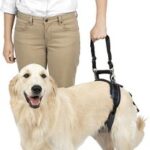 PetSafe Solvit CareLift Rear-Only Lifting Harness