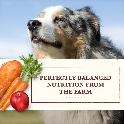 Whole Earth Farms Grain-Free Chicken & Turkey Recipe Canned Dog Food