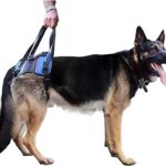 Walkin' Lift Combo Rear Dog Harness for Mobility