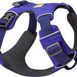 Front Range All-Day Adventure Harness for Dogs