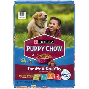 Puppy Chow Tender & Crunchy with Real Beef Dry Dog Food