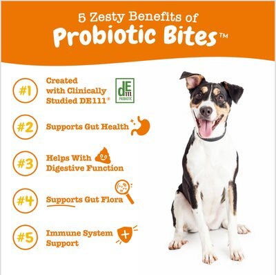 Zesty Paws Core Elements Probiotic Pumpkin Flavored Soft Chews Digestive Supplement for Dogs