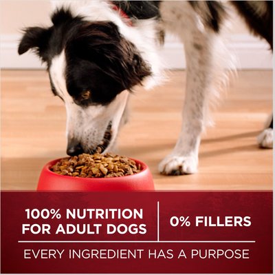 PURINA ONE SMARTBLEND TRUE INSTINCT WITH REAL TURKEY & VENISON ADULT DRY DOG FOOD