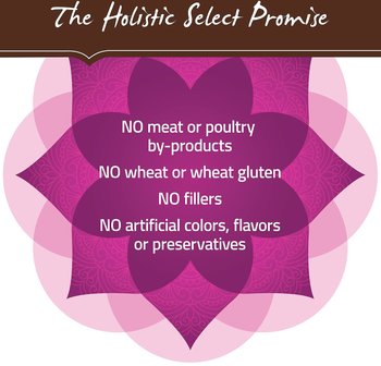 Holistic Select Natural Dry Dog Food Grain Free Small & Mini Breed Puppy