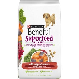 PURINA BENEFUL SUPERFOOD BLEND WITH SALMON DRY DOG FOOD