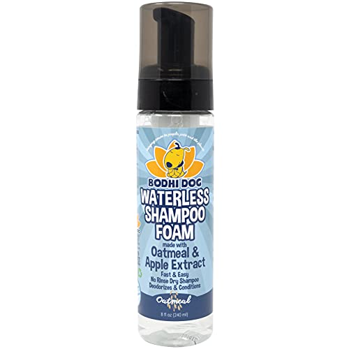 Oatmeal Dry Shampoo No Rinse Foaming Cleaner