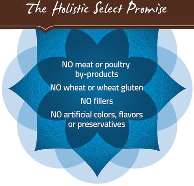 Holistic Select Large & Giant Breed Adult Health Chicken Meal & Oatmeal Recipe Dry Dog Food