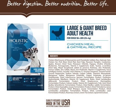 Holistic Select Large & Giant Breed Adult Health Dry Dog Food