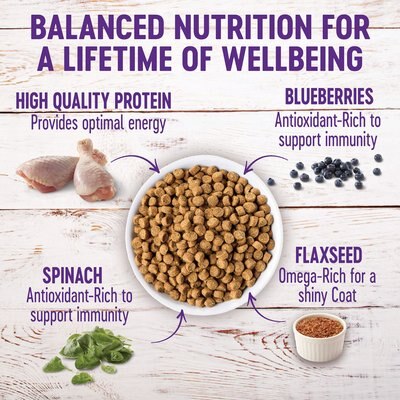 Wellness Large Breed Complete Health Puppy Deboned Chicken, Brown Rice & Salmon Meal Recipe Dry Dog Food