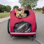 PetSafe Happy Ride Steel Dog Bicycle Trailer