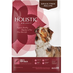 HOLISTIC SELECT ADULT & PUPPY HEALTH SALMON, ANCHOVY & SARDINE MEAL RECIPE GRAIN-FREE DRY DOG FOOD
