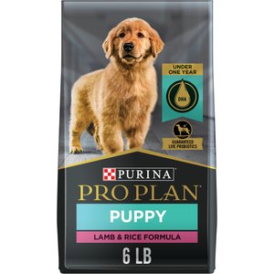 Purina Pro Plan Focus Dry Puppy Food