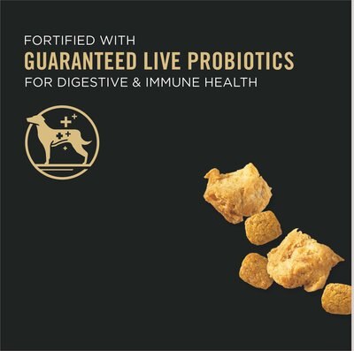 Purina Pro Plan SAVOR Shredded Blend Small Breed Formula Chicken & Rice Adult Dry Dog Food