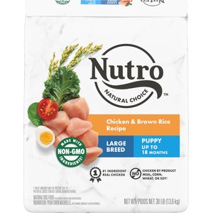 Nutro Wholesome Naturals Large Breed Puppy Food