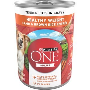 PURINA ONE SMARTBLEND TENDER CUTS IN GRAVY LAMB & BROWN RICE ENTREE ADULT CANNED DOG FOOD