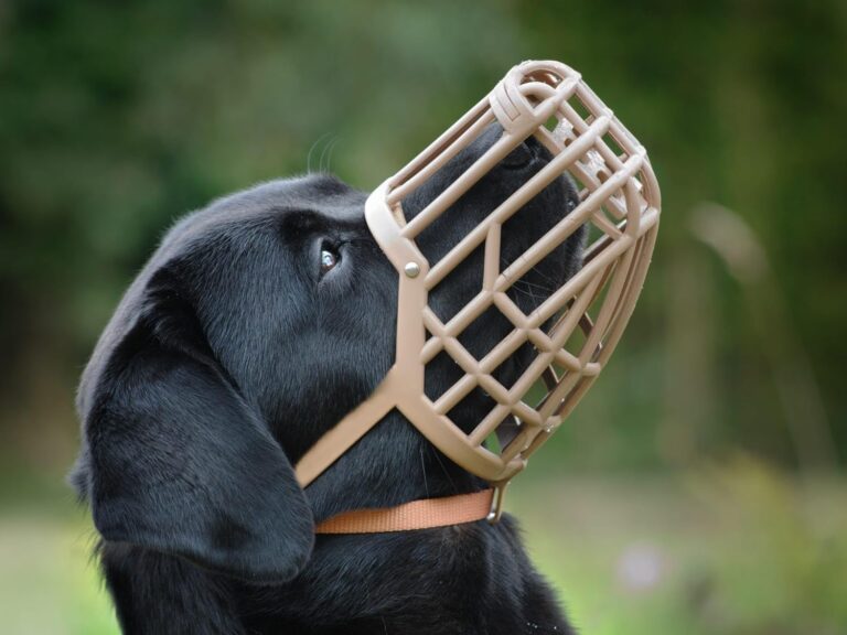 Italian Basket Muzzle made by OmniPet