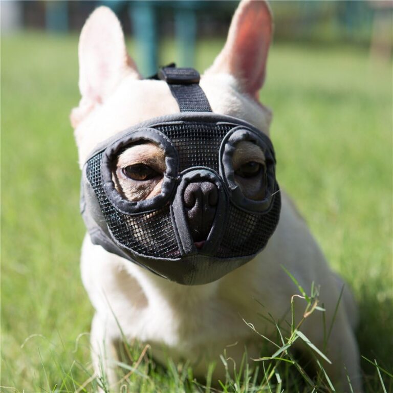 JYHY Short Snout Dog Muzzles- Adjustable Breathable Mesh