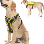 Fida Dog Harness, Multi-Functional No-Pull Pet Vest Harness with Saddle Bags Backpack