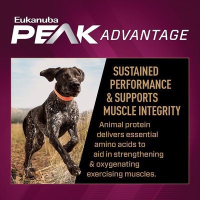 Eukanuba Premium Performance 30/20 Adult Dry Dog Food