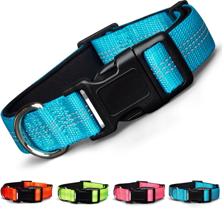 Blazin Color Me Happy! Reflective Dog Collar