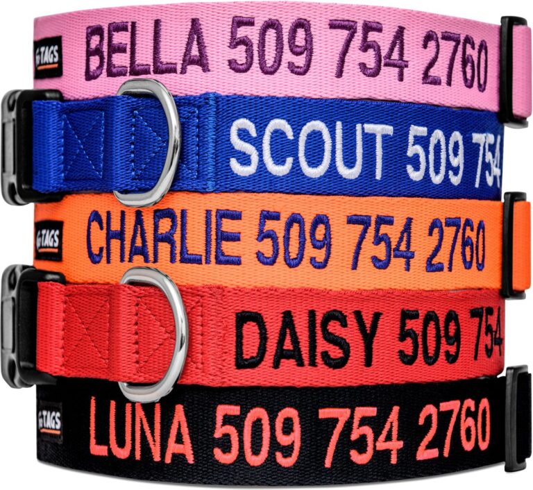 GoTags Nylon Personalized Dog Collar