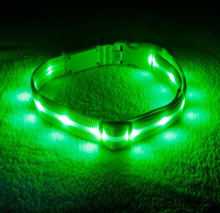 Blazin LED USB Rechargeable Nylon Dog Collar