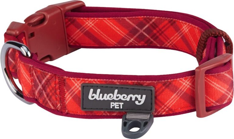 Blueberry Pet Soft & Comfy Padded Polyester Dog Collar