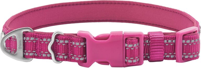 Frisco Outdoor Nylon Reflective Comfort Padded Dog Collar