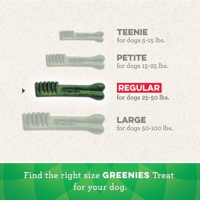 GREENIES REGULAR DENTAL DOG TREATS