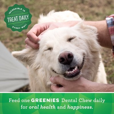 GREENIES REGULAR DENTAL DOG TREATS