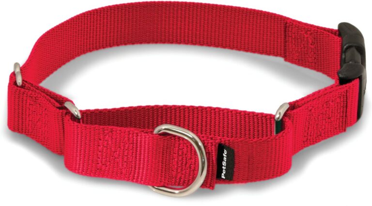 PetSafe Quick Snap Buckle Nylon Martingale Dog Collar