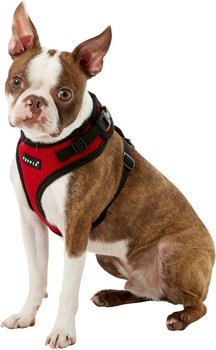 Puppia Authentic RiteFit Harness