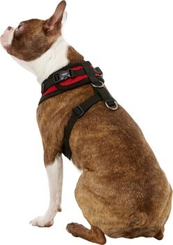 Puppia Authentic RiteFit Harness