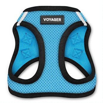 Voyager Black Base Mesh Dog Harness