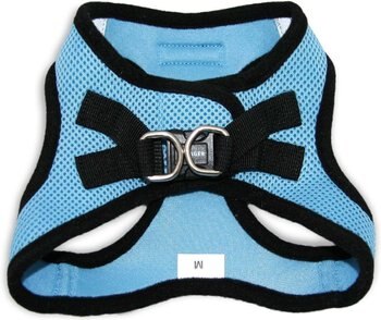 Best Pet Supplies Voyager Black Trim Mesh Dog Harness