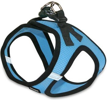 Best Pet Supplies Voyager Black Trim Mesh Dog Harness