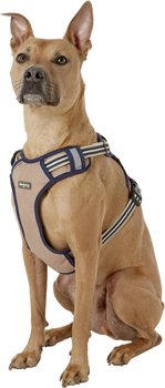 Blueberry Pet 3M Reflective Dog Harness