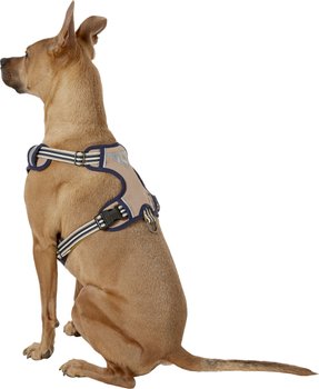 Blueberry Pet 3M Reflective Dog Harness