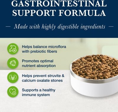 Blue Buffalo Natural Veterinary Diet GI Gastrointestinal Support Dry Dog Food