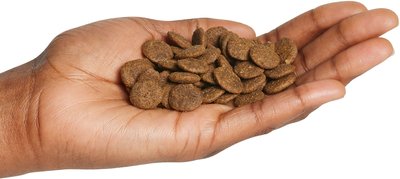 Natural Balance  L.I.D. Limited Ingredient Diets Grain-Free Salmon & Sweet Potato Formula Dry Dog Food